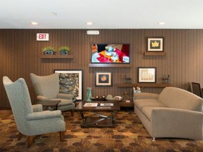 Hotel Holiday Express & Chicago-deerfield Lincolnshire By Ihg